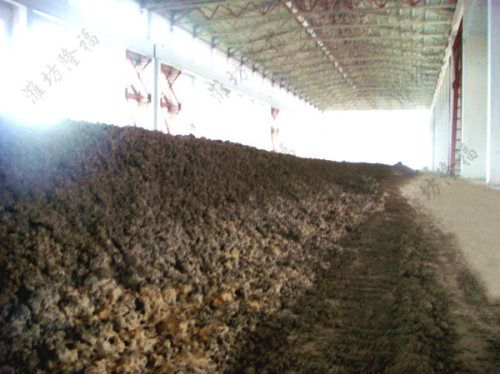 10万吨造纸污泥生物有机肥