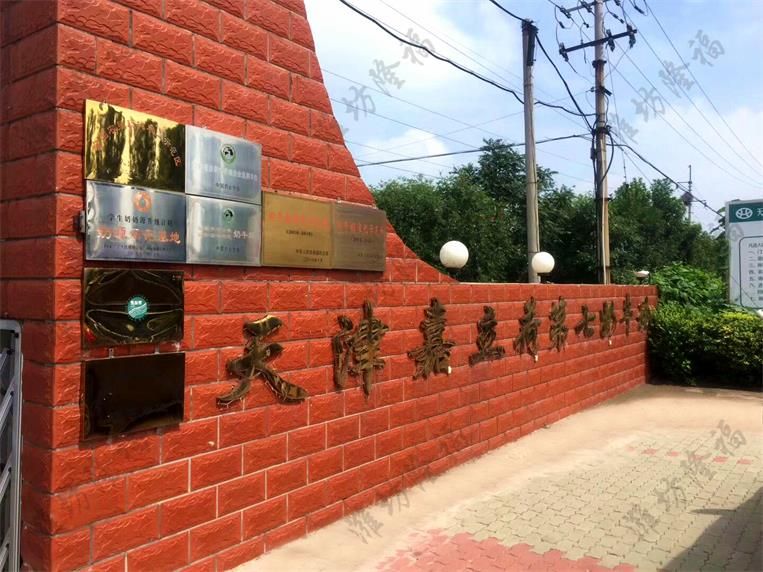 时处理6立方沼渣—高湿物料烘干机（灭菌）—牛卧床有机肥设备